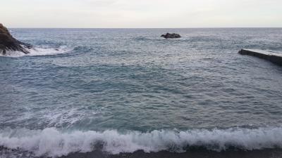 Прикрепленное изображение: ц.jpg